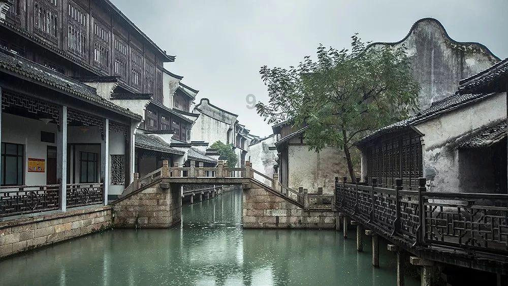 森系丛林